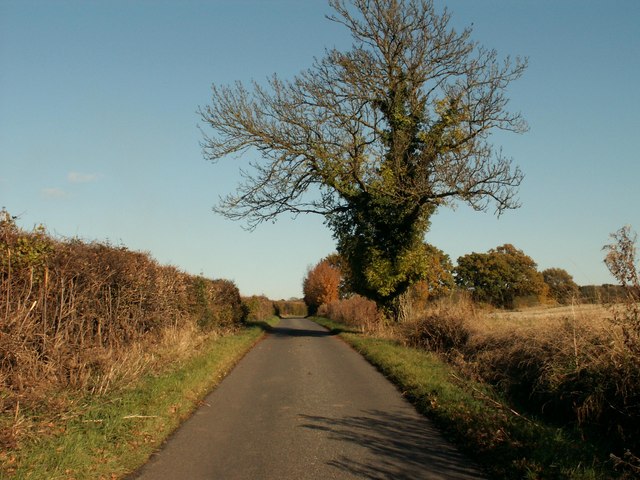 Part of Goose Lane, on the way to Woodside Green