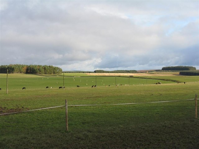 Fields near Rumbletonrig