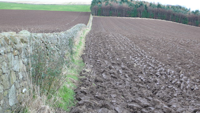Kilduff Farmland