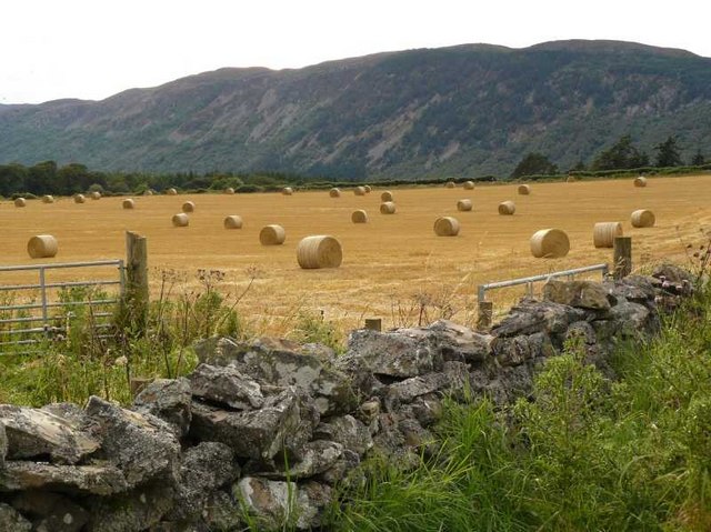 Farmland near Dores
