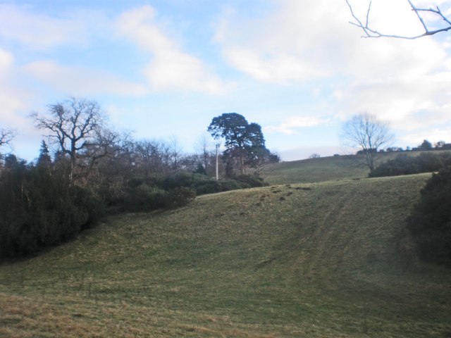 Pasture Land near Easter Galcantray