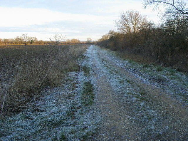 Track on Southern Edge of Chalgrove Common