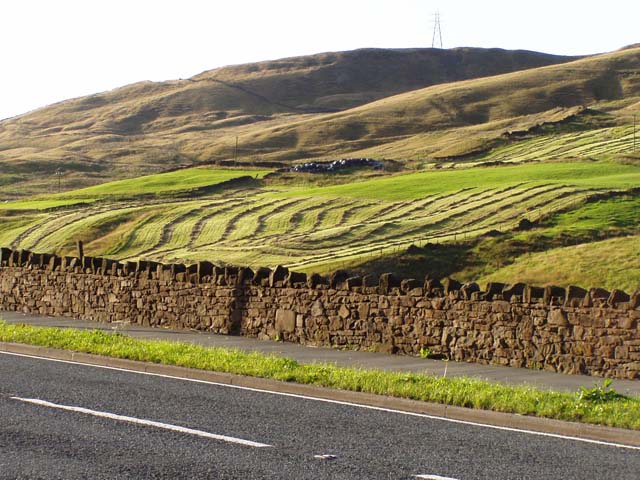 Hay drying in the field, Cliviger