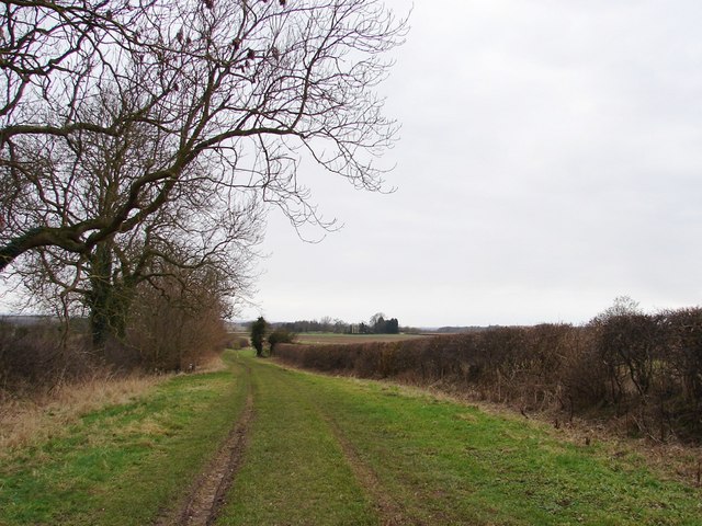 Greenish Lane near Benniworth