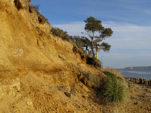 Sandstone cliff, Lepe