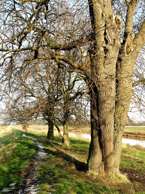 On the west bank of the River Hull